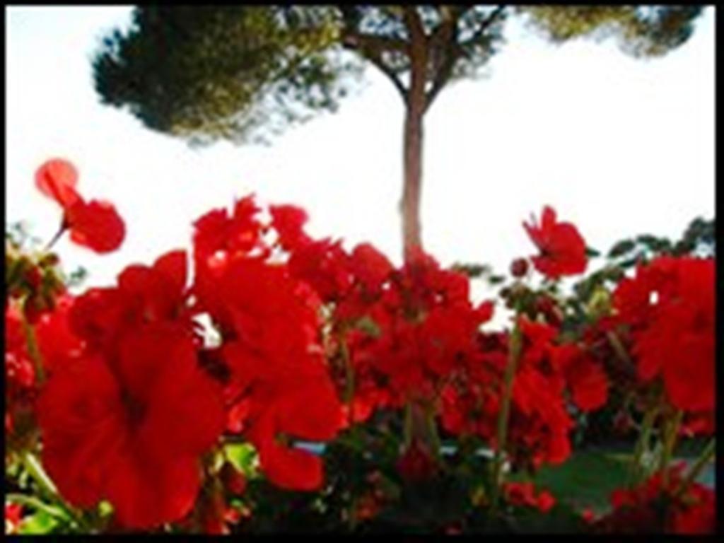 La Tangana Bed & Breakfast Rognes Екстериор снимка